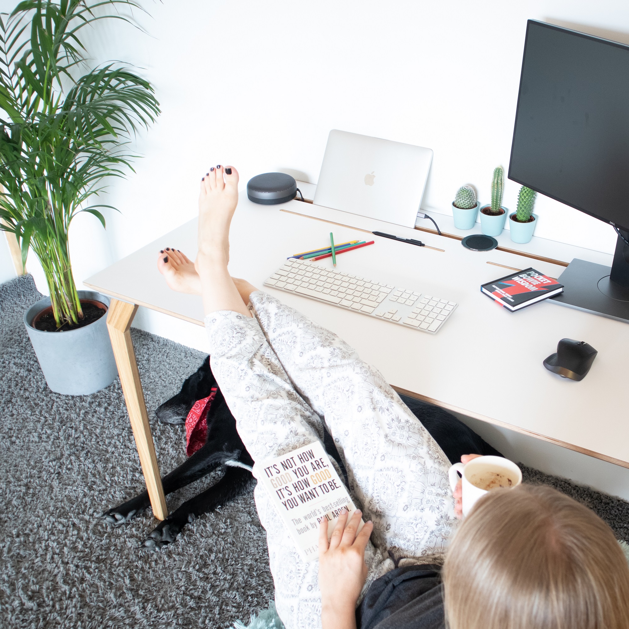 conform-desk-savjeti-rad-od-doma
